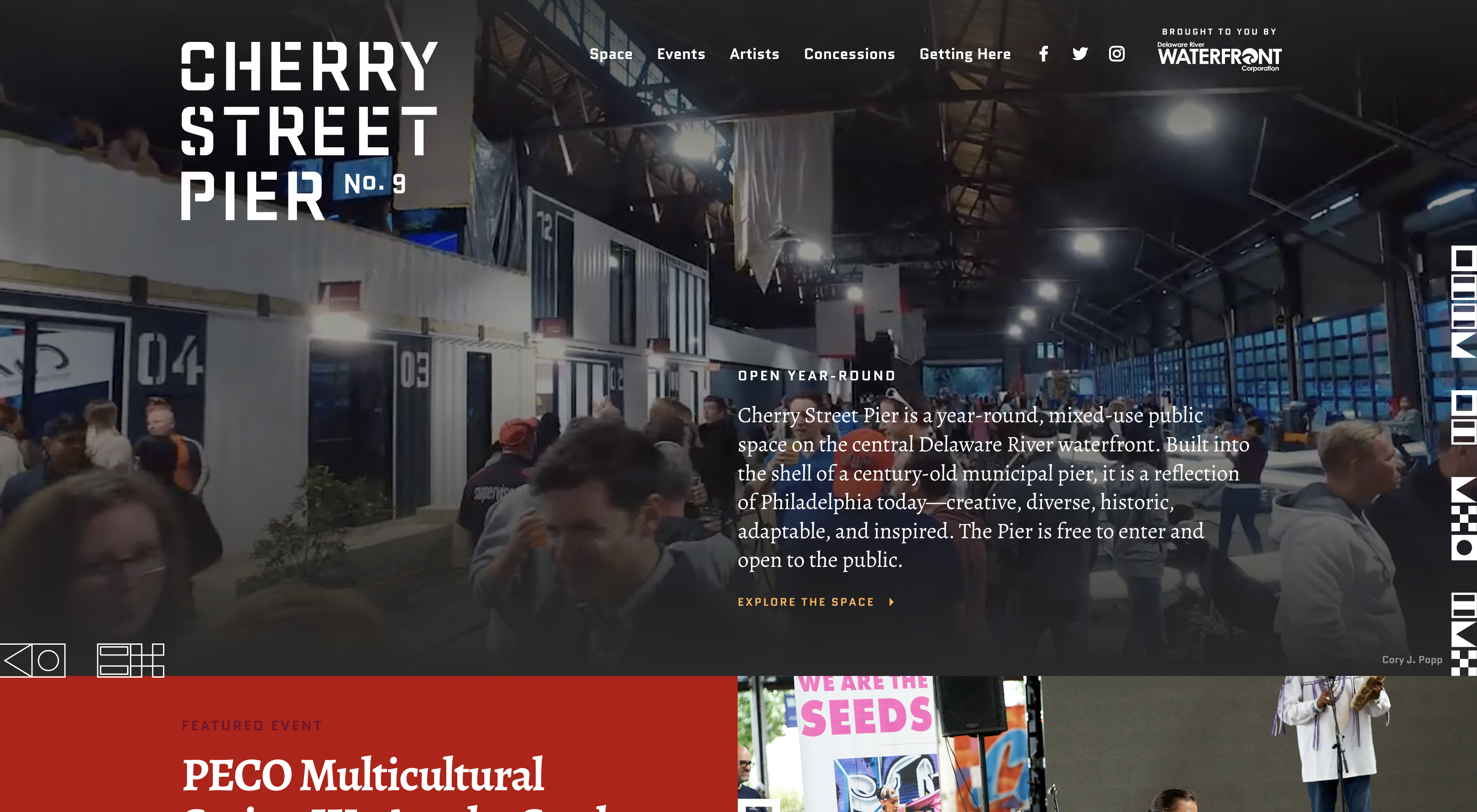 Custom WordPress theme development